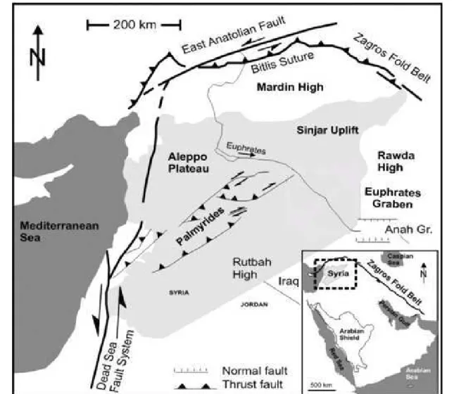 Figure III.2: Principaux ensembles structuraux de NW de la Plaque Arabe et localisation du bassin des  Palmyrides