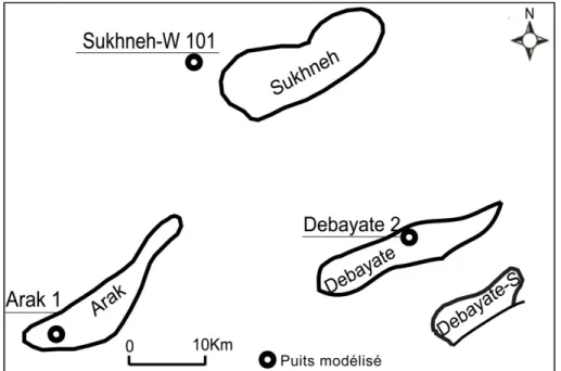 Figure III.5 : Localisation des puits modélisés dans le bassin des Palmyrides-Sud.  