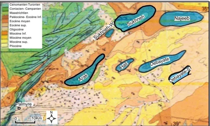 Figure III.7 : Localisation  des trois champs étudiés : Arak, Debayate-Sud et Sukhneh dans la série de  Pyramide-sud