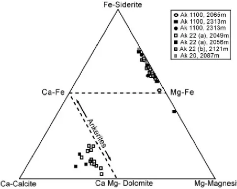 Figure III.17 : Composition des ciments de carbonates dans le champ de Arak.  