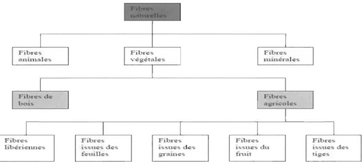 Figure  3:  Catégorie des fibres  naturelles  [2, 3,  4J 