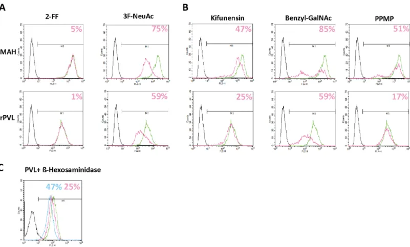 Fig 5. PVL binding in the presence of glycosylation inhibitors or after treatment with glycosidases