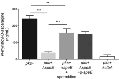 FIG 7 Spermidine is involved in colibactin biosynthesis. The colibactin prodrug motif N-myristoyl- D - -asparagine, produced by the wild-type (WT) E