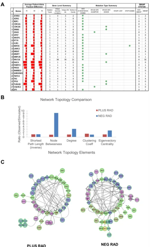 Fig 5. Network analysis of shared patient plus and negative RAD sets. A) List of 28 genes with patient and gene level summaries of the different variants