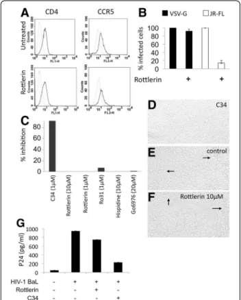 Figure 2 Effects of rottlerin on viral entry. Macrophages (5 × 10 5 /ml) were untreated or treated with rottlerin (5 μM) (A) for 30 minutes or (B) 2hours