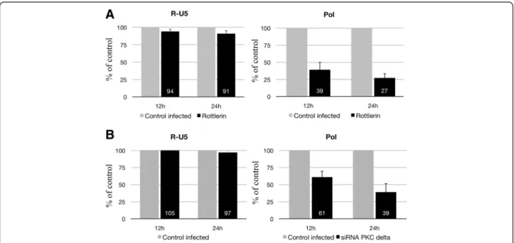 Figure 3 Quantitative PCR of RT products (cDNA) from HIV-1 BaL-infected macrophages pretreated or not with rottlerin or accel siRNA against PKC-delta
