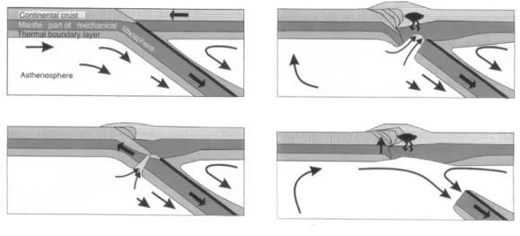 Figure I.15: Schéma de principe du modèle de rupture et de détachement du panneau  plongeant (slab breakoff; Davies et Von Blanckenburg, 1995) sur l’exemple des Alpes