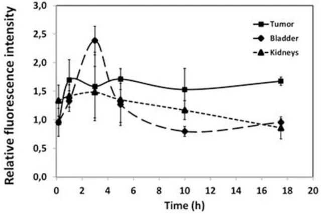 Figure 4: Kinetic analysis of Angiostamp™ fixation.  The relative fluorescence intensities for the tumor and the elimination organs  (bladder and kidney) were plotted as a function of time