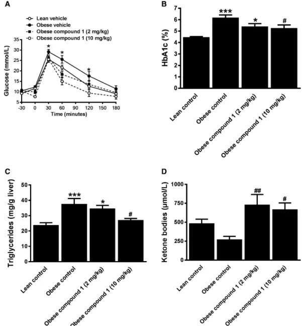 Fig. 4. Acute and chronic effects of compound 1 in KK-A y  mice. (A) Oral glucose tolerance in lean and obese KK-A y  mice