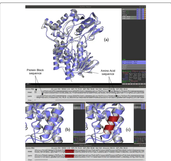 Fig. 1 Example of iPBAvizu usage. (a) Two proteins, with lengths of 531 and 533 residues respectively are loaded into PyMOL (PDB code: 3GWD and 1W4X respectively); the structural superimposition is made using iPBAvizu