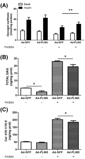 Figure 4.  PLIN5 exerts a protective role against palmitate-induced lipotoxicity. (A) Glycogen synthesis  was measured in control myotubes (Ad-GFP) and myotubes overexpressing PLIN5 (Ad-PLIN5) using [U- 14 C] 