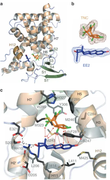 Figure 6 | Structural basis for supramolecular ligand activity. (a) Overall structure of PXR-LBD in complex with EE2 (blue) and TNC (orange); the structure shows the LBP bordered by helix H12 (light brown) on one side and the b-sheet (green) on the other s