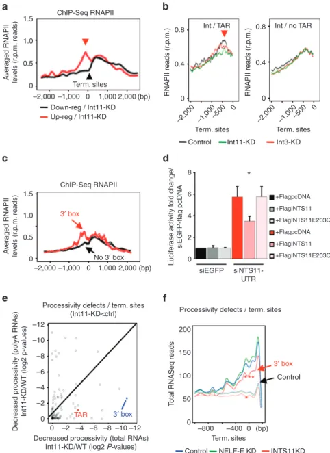 Figure 5 | Integrator regulates RNAPII occupancy at transcription termination sites (TES) of its target genes