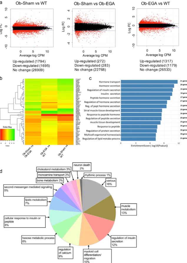 Fig. 3. Molecular analysis of islets after the surgery.