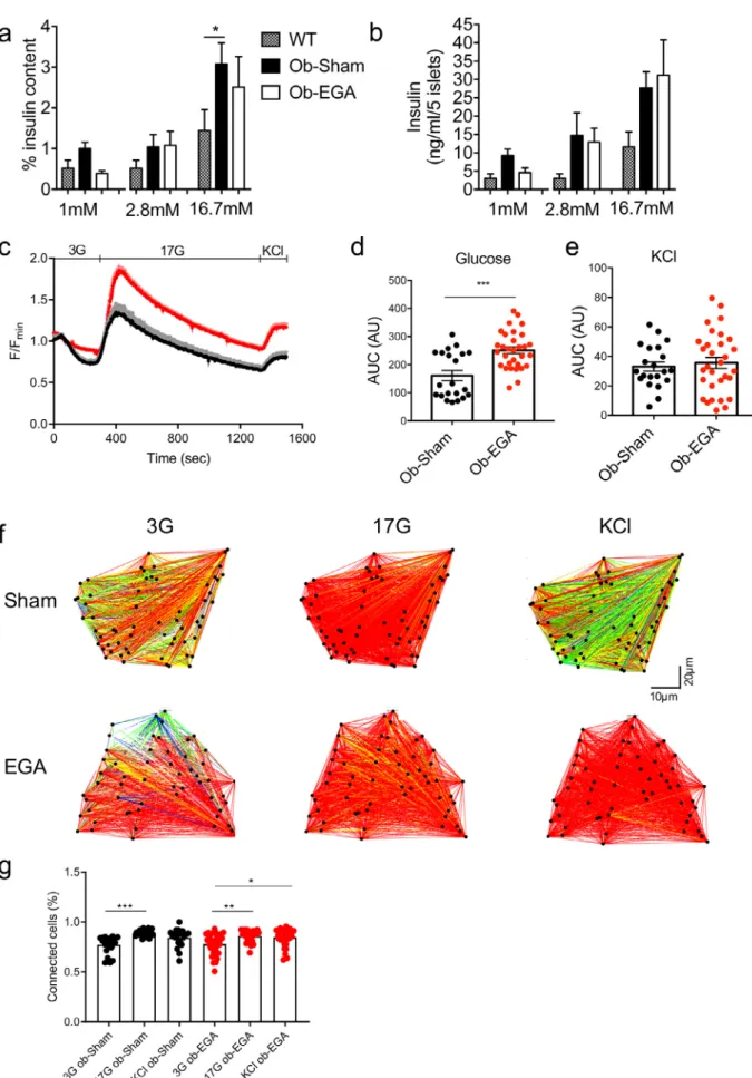 Fig. 5. Functional analysis of beta-cells after the surgery.