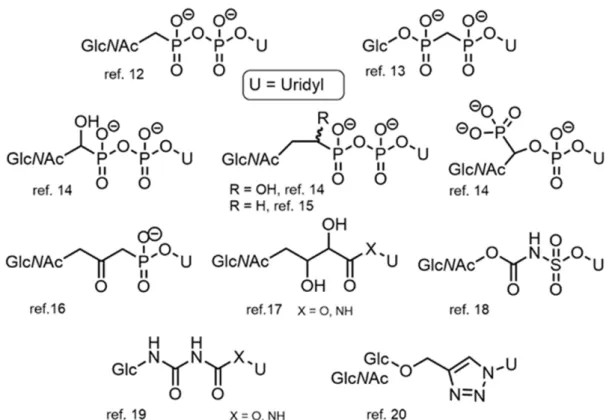 Figure 2. Examples of synthetic analogs of UDP-Glc or UDP-GlcNAc. 