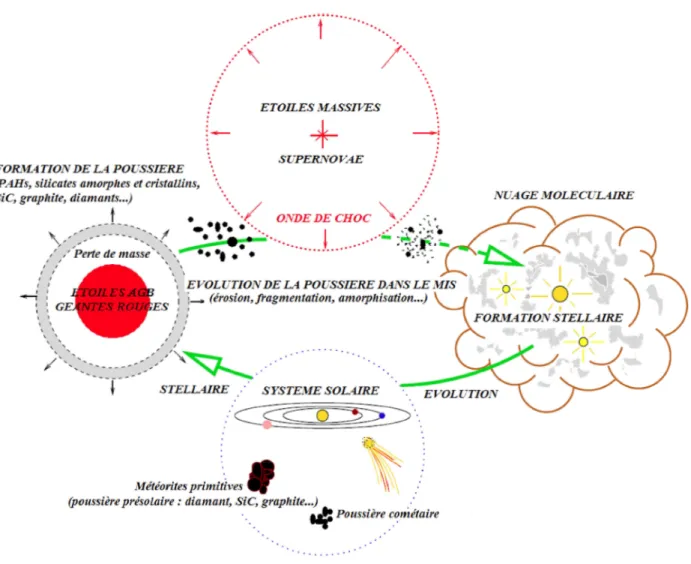 Figure 2.10 – Cycle des poussières interstellaires. Schéma adapté de [Jones 2004].