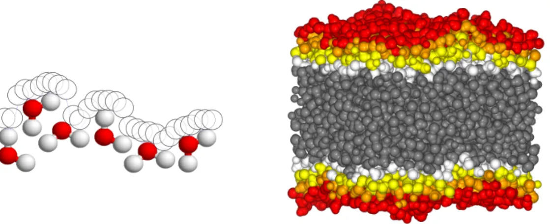 Figure 2.2. Probe spheres in contact with the molecules at the intrinsic surface (left)