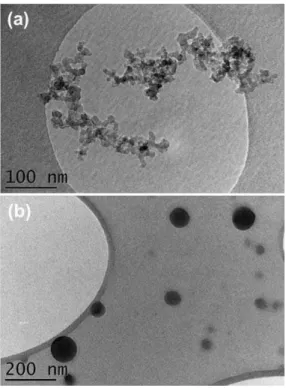 Figure 2.11: TEM pictures of combustion particles generated under (a) C/O ratio = 0.22 and (b) C/O ratio = 0.6 [67].