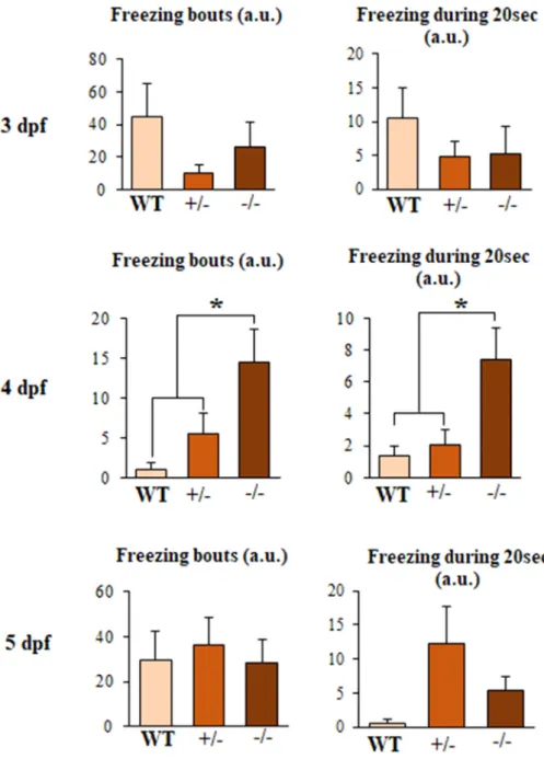 Fig.  2. Freezing activity  after light  stimulation in WT, fus  + /- and fus  −/- embryos
