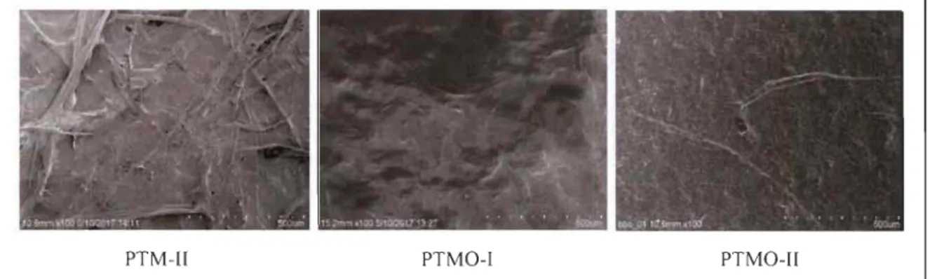 Figure 3-21  : Images des  échantillons au MEB de  la TMP, TMPO-I et TMPO-ll 