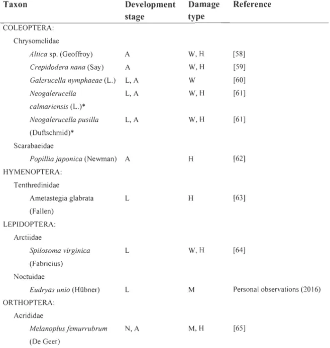 Table  1.  Phyllophagous  insects  most  frequently  associated  with  purple  loosestrife  (Lythrum  salicaria)  in  North  America