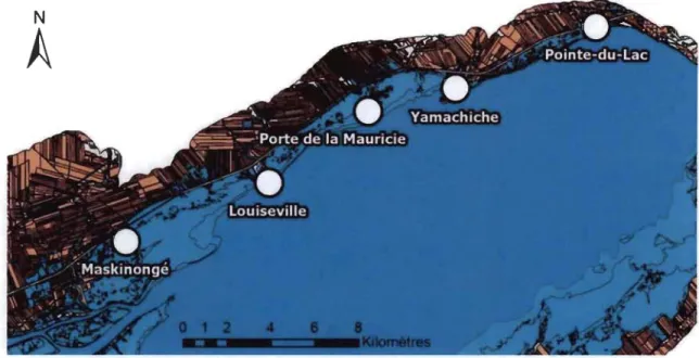 Figure A.2  Localisation des  sites  à  l'étude au  lac Saint-Pierre. 