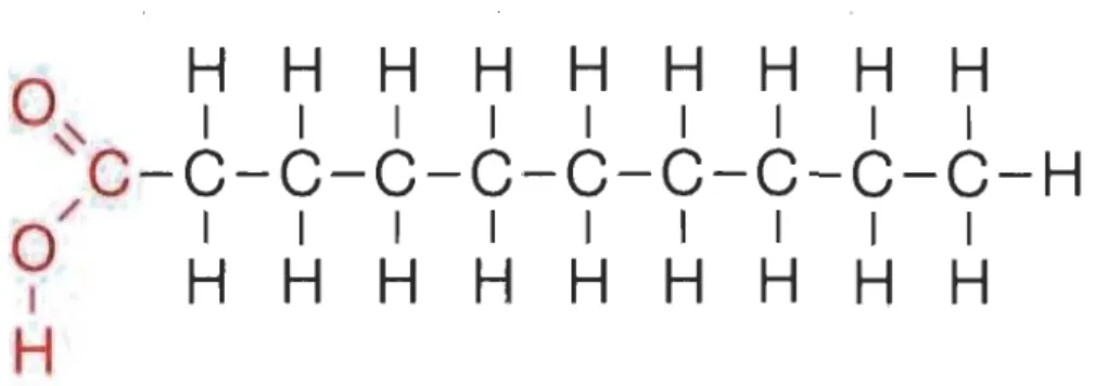 Figure 1.8  Structure générale d'un acide gras. 