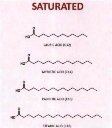 Figure 1.9  Structure de différents acides gras saturés. 