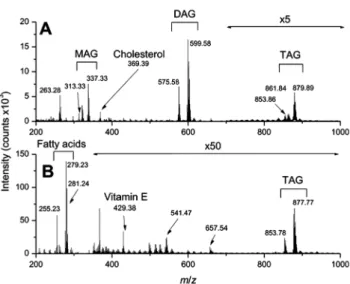 Figure 2. TOF-SIMS mass spectrum of the sunflower oil enriched in cholesterol (2% p/p)
