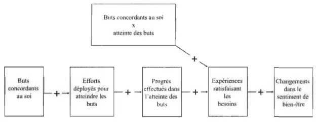 Figure 2. Modèle de  la concordance du  soi  (adapté de Sheldon &amp;  Elliot, 1999). 