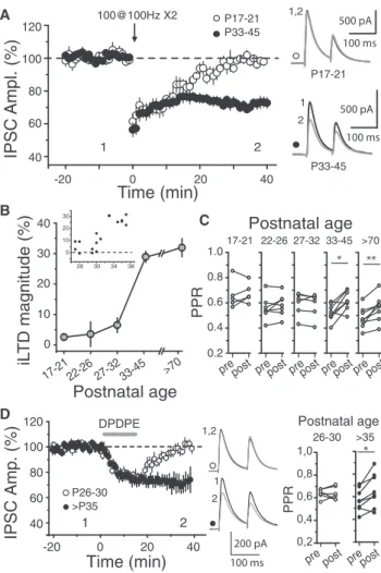 Figure 1. LTD of Inhibitory Transmission in Area CA2 Emerges at the End of Adolescence