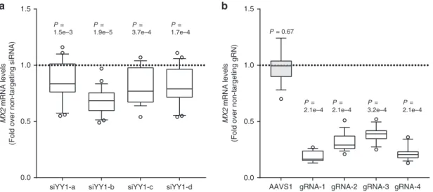 Fig. 5 YY1 and rs398206 affect MX2 expression in melanoma cells. a YY1 was knocked down using four different siRNAs in UACC647 cells, and MX2 levels were measured