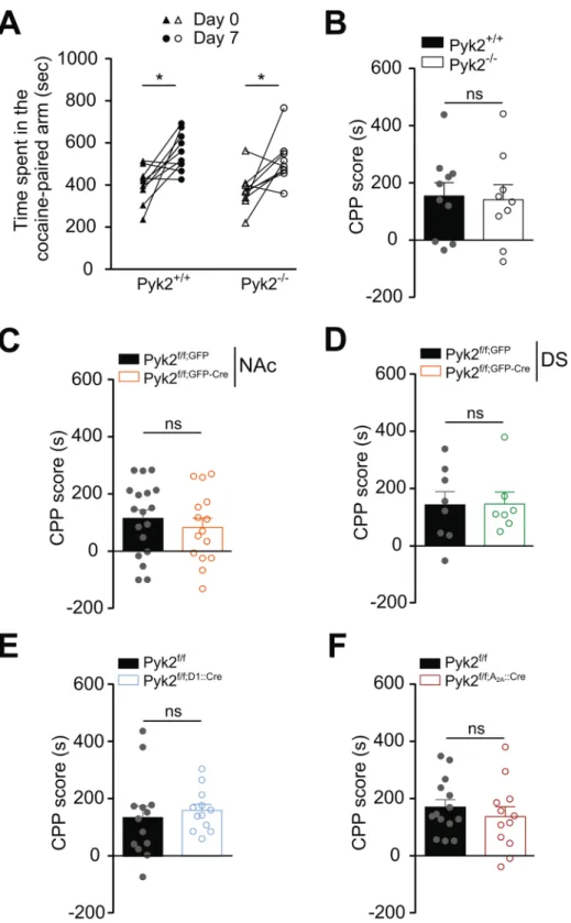Figure 7.  Pyk2 deletion does not alter cocaine-conditioned place preference. For each group of Pyk2 mutant  mice and their respective matched controls, the time spent in the cocaine-paired arm before (Day 0) and after  (Day 7) cocaine (15 mg/kg) condition