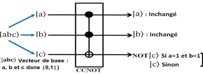 Fig 2.6 : Porte To¤oli.