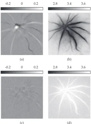 FIG. 4: Moments h∆φ n m i (Eq. 4) of the phase shift ∆φ m (t) for time lag mτ S (Visualization 4)