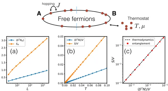 Figure 3.2: GET hypothesis for the free fermions. (a) Entanglement entropy S A
