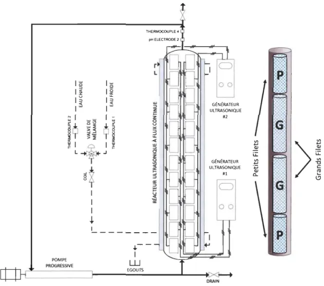 Figure  3-4 :  Représentation schématique du sonoréacteur  à  l'échelle pilote et de la  disposition des filets  à  l'intérieur du  tube ultrasonique 