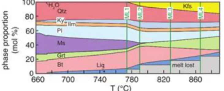 Fig. 3. Molar proportion of phases plotted against temperature for isobaric heating at 12  kbar starting with an average amphibolite-facies pelite composition calculated using 