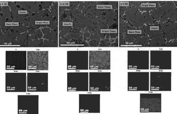 Figure  3.2  is  showing  the  backscattered  electron  micrographs  of alloys  x  =  30,  40  and  50