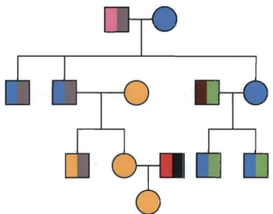 Figure 1.3  Schéma  de  la  transmission  du  chromosome  Y  et  de  l'ADN  mitochondrial dans un exemple de généalogie