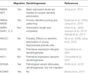 TABLE 1 | Summary of ion channels having differential roles in migration and dendritogenesis of cortical glutamatergic neurons.
