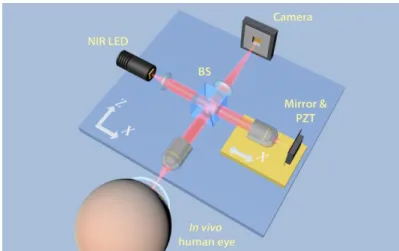 Fig. 1. Schematic illustration of the FFOCT set-up. Illumination: NIR LED; BS: beam splitter; 