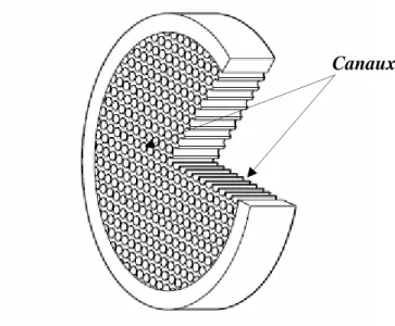 Figure 6  : Représentation schématique d’une galette du détecteur MCP 
