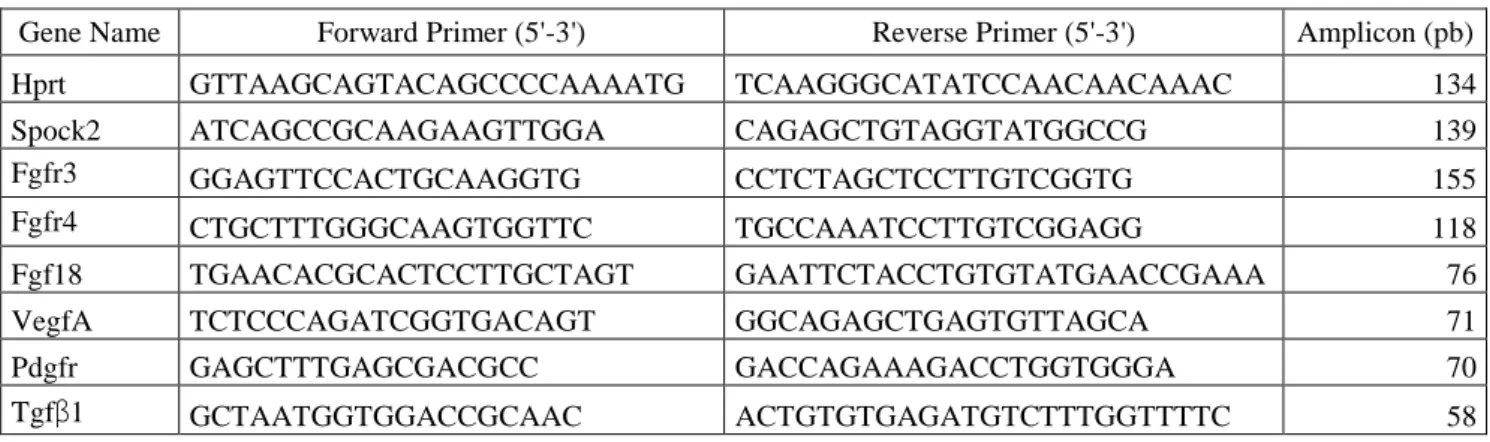 Table 1: Sequence of primers used for RT-qPCR determinations 