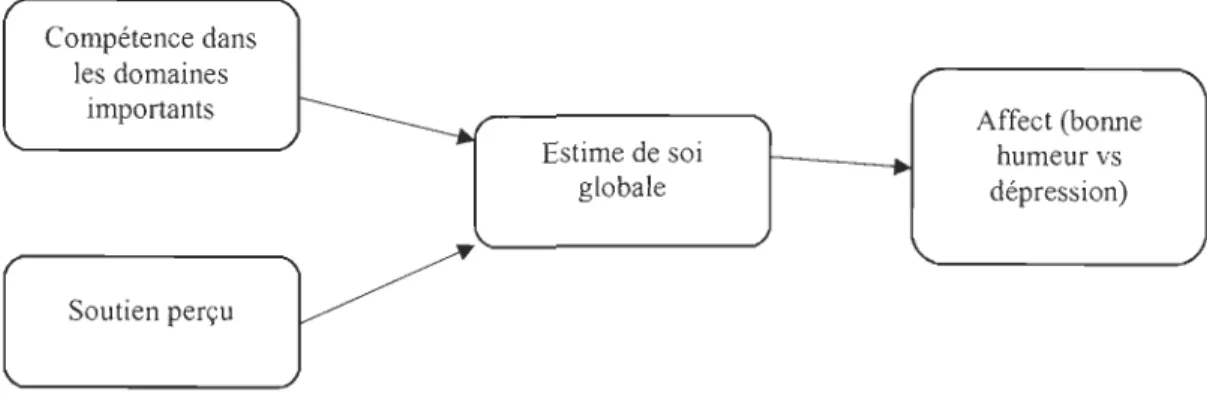 Figure 1.  Modèle  original  des  détenninants  et  des  conséquences  sur  l'estime  de  SOl 