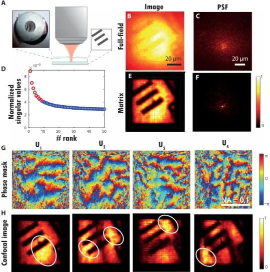 Figure 4H displays the confocal images ℐ p  for l p  = 2   m. For a spec- spec-ular object such as a resolution target, the SVD has indeed the  prop-erty of decomposing into a set of orthogonal IMs of spatial period 