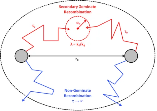 Figure 4.3. Illustration of the secondary geminate according to Shin and Kapral's theory.