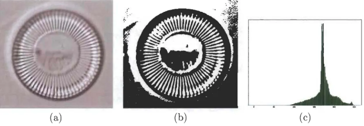 FIGURE  3.9 - (a)  Image  originale  (b)  Image segmentée  (c)  Histogramme de  l'image