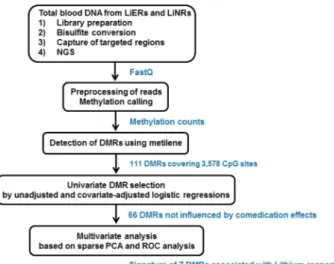 Figure 1.  Bioinformatic analysis flowchart used in this study for the identification of a DNA methylation  signature in LiER vs LiNR patients with bipolar disorder type 1.